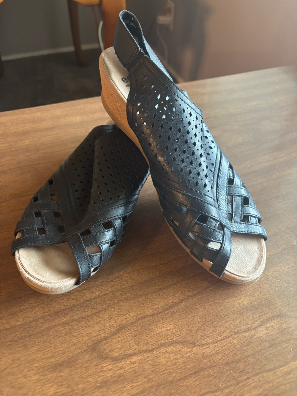 Earth brand "Pisa Galli" wedge sandals